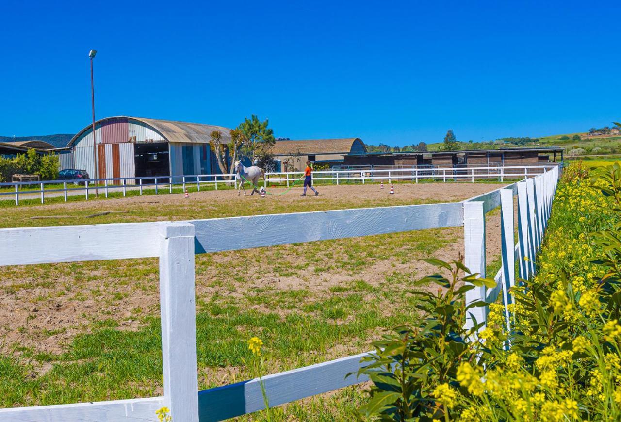 Glamping Gli Etruschi * Piombino